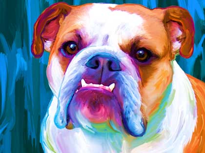 english  bulldog