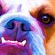 bulldog painterly portrait