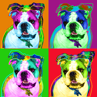 english bulldog art