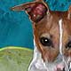 greyhound