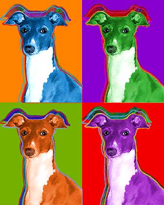italian greyhound art