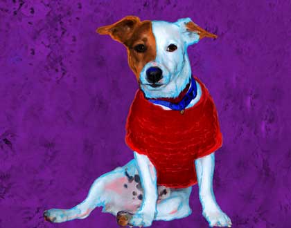 dog art
