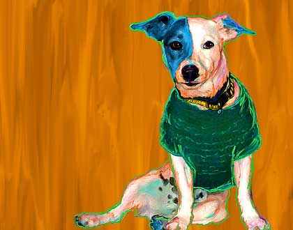 jack russell