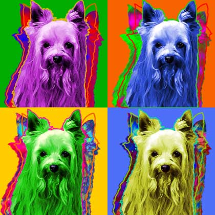 Yorkie art 