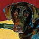 chocolate lab portrait