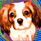 king charles portrait