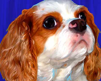 king charles spaniel