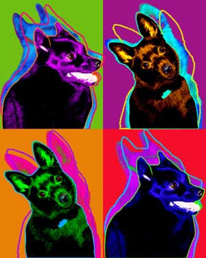 shipperke art