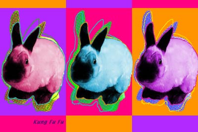 rabbit art