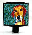 lab night light