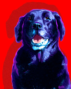Black Lab art Picture