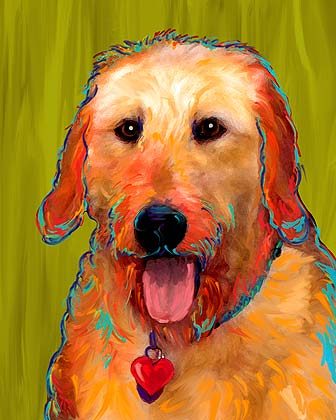 labradoodle