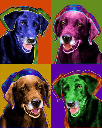 labrador retrieverart