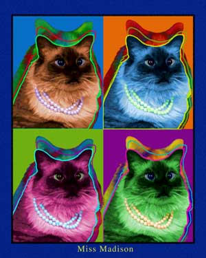 siamese cat art