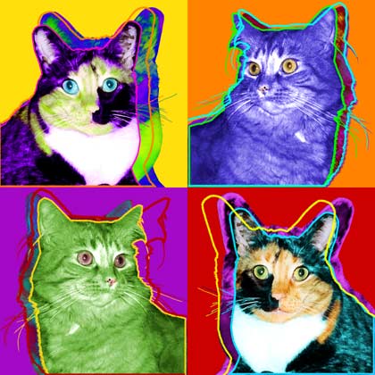 origianl cat art