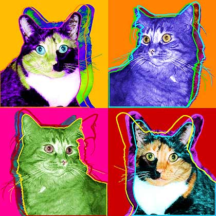 origianl cat art