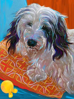 pbgv