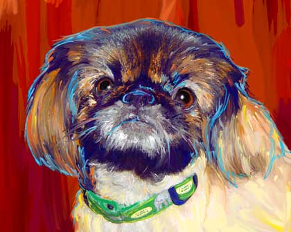 pekingese portraits