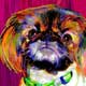 pekingese art portrait