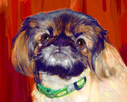 pekingese art