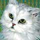 cat portrait