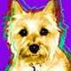 cairn terrier art