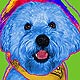 soft coated wheaten terrier