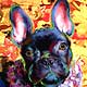 french bulldog painting