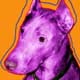 doberman art