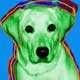 white lab