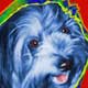 dog art