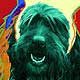 scottie mix