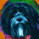 dog art