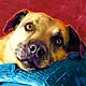 dog art