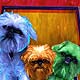 yorkie art