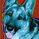 german shepherd art