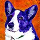 corgi 