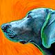 weimaraner art