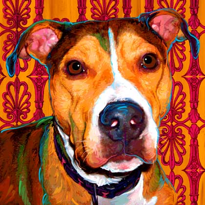 pit bull art