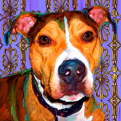 pitbull painting