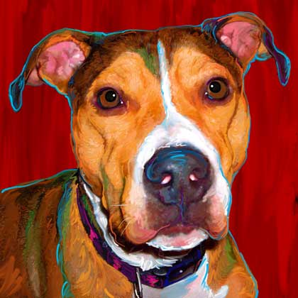 pit bull print