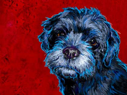 dog portrait