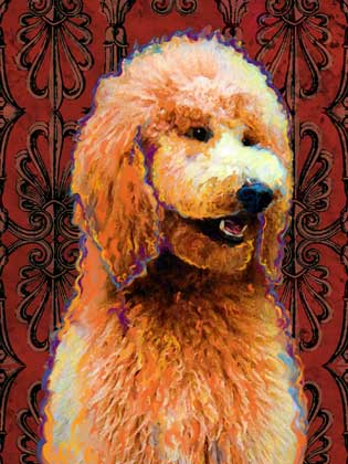 french poodle