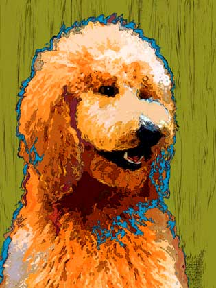 pop art poodle