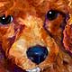 poodle art