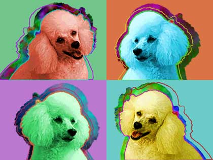 poodel art
