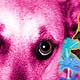 pop art dog portrait