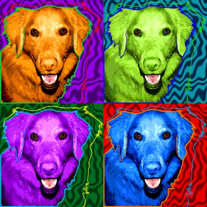 pop art dog portrait