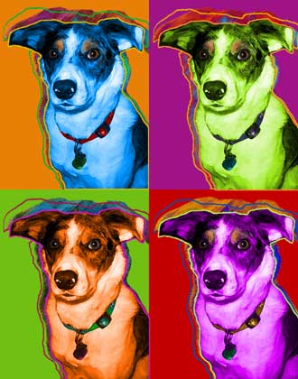 pop art dog art