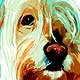 portrait dog